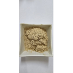 Pollen Kurma Ajwa Madinah - Kesuburan Alami | InterMadinah