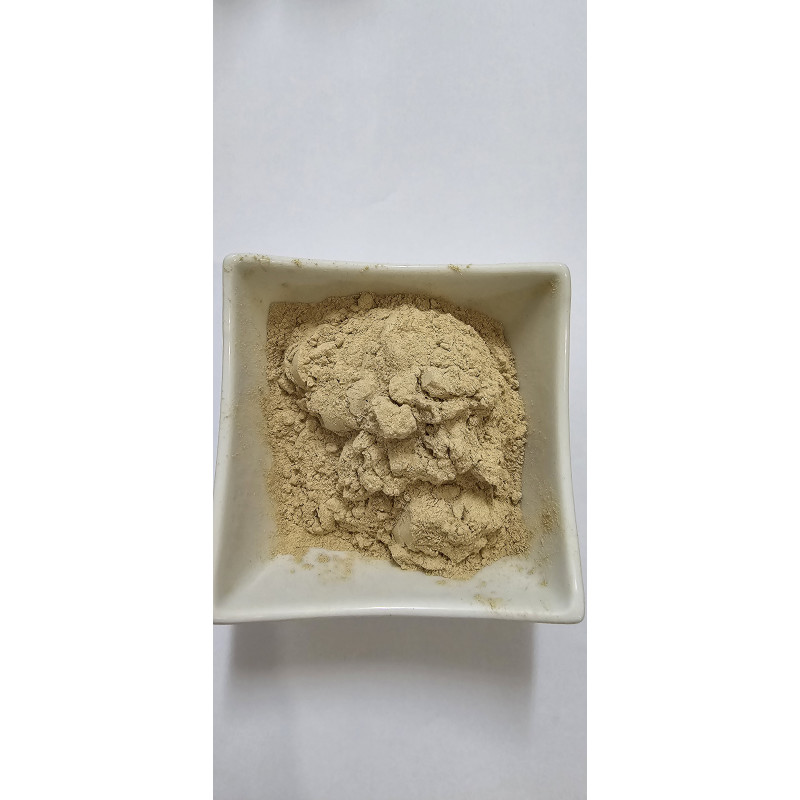 Pollen Palmier Ajwa Médine - Fertilité Naturelle | InterMadinah