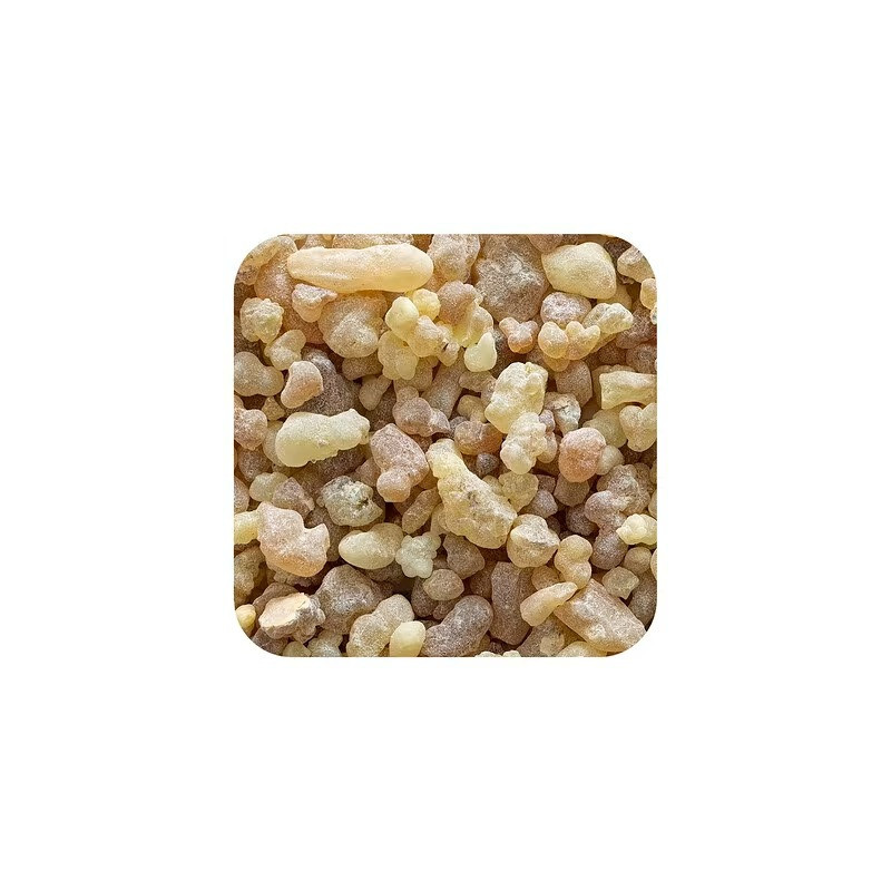 Oliban Räucherwerk Dakar 1kg - B2B Großhändler | InterMadinah