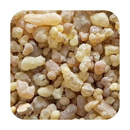 Dakar Oliban Tütsüsü 1kg - B2B Toptan | InterMadinah