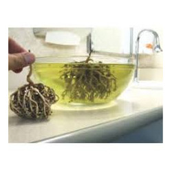 Chajarat Mariam Medina 1kg - Natürliche Fruchtbarkeit | InterMadinah