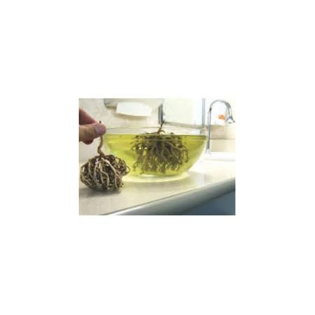 Chajarat Mariam Medina 1kg - Fertilità Naturale | InterMadinah