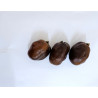 Mele Adam Medina 1kg - Fertilità Naturale | InterMadinah