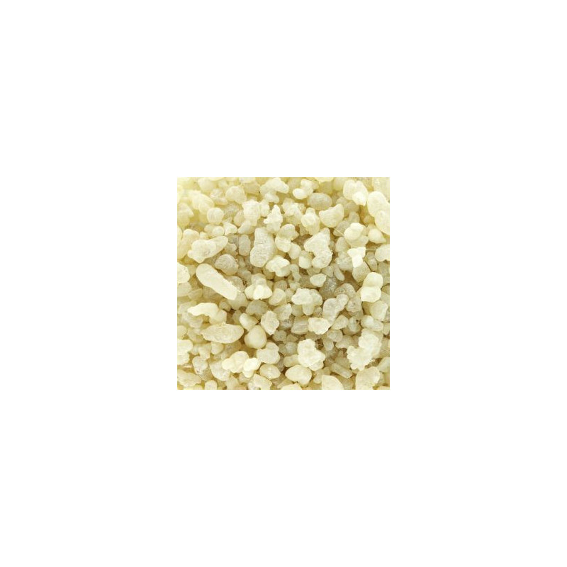 Incenso Olibano Mastica 1kg - Grossista B2B | InterMadinah