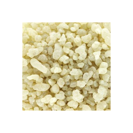 Incenso Olibano Mastica 1kg - Grossista B2B | InterMadinah