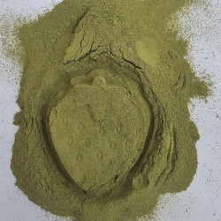 Moringa Powder Medina 1kg - B2B Wholesaler | InterMadinah