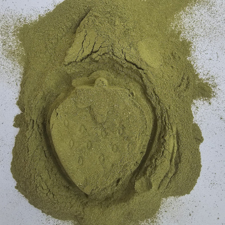 Moringa en Polvo Medina 1kg - Mayorista B2B | InterMadinah