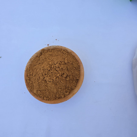 Cannella in Polvere 1kg - Grossista B2B | InterMadinah