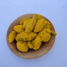 Cúrcuma Dakar en Trozos 1kg - Mayorista B2B | InterMadinah