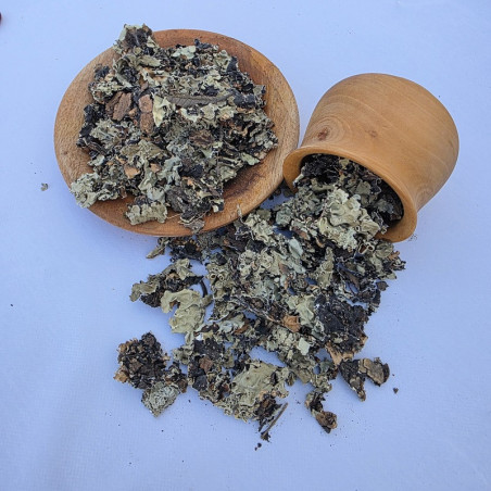 Kalpasi - Black Stone Flower - Grossiste B2B | InterMadinah