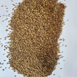 Rasehd Qasim Cresson Seeds - B2B Wholesaler | InterMadinah