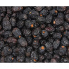 Medine Ajwa Hurması 10kg - B2B Toptan | InterMadinah