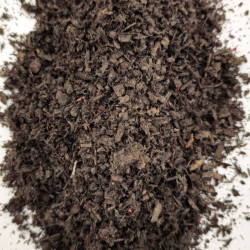 1 kg  Encens de Médine Noir - Artisanat Rare aux Arômes Uniques