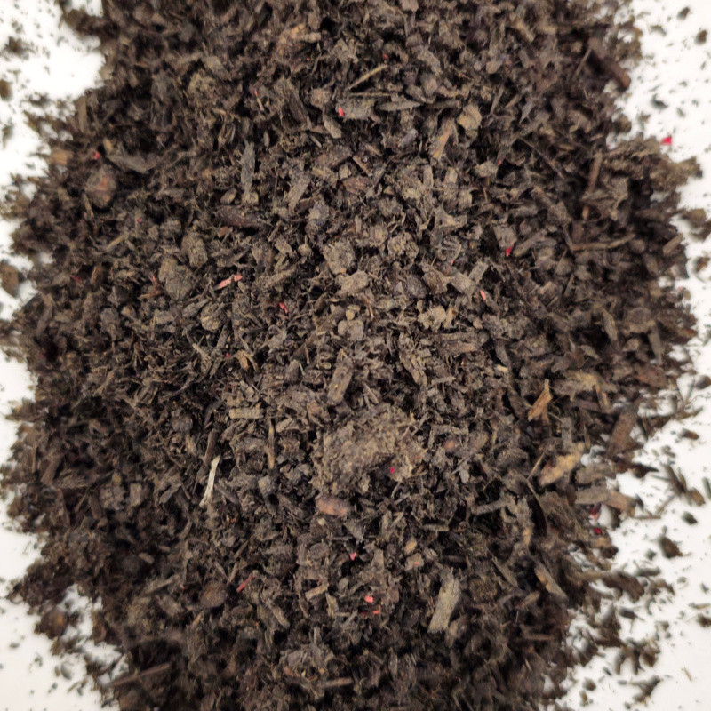 1 kg  Encens de Médine Noir - Artisanat Rare aux Arômes Uniques