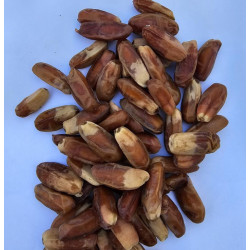 Kurma Surol Tanpa Bijih Madinah 1kg - Grosir B2B | InterMadinah