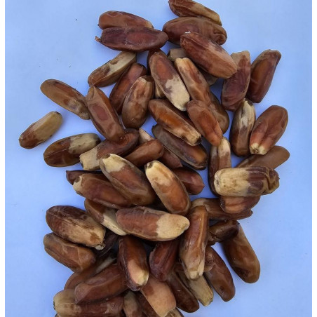 Dattere Surol Senza Nocciolo Medina 1kg - Grossista B2B | InterMadinah